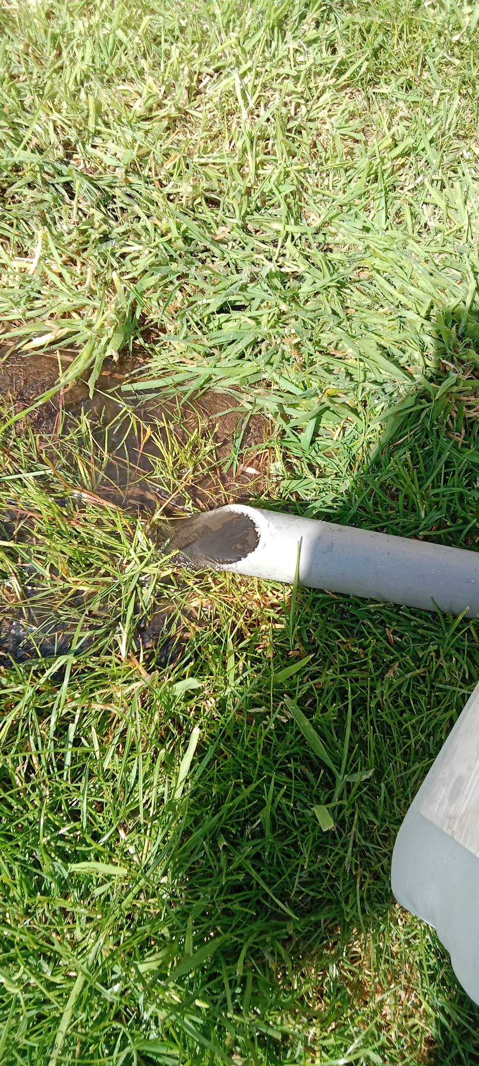 Pendant le désembouage